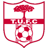 Tallingding United FC logo