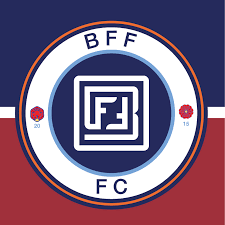 BFF Woman logo