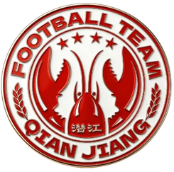 Qianjiang Team logo