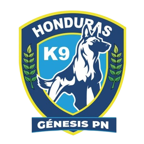 https://img.thesports.com/football/team/653afba22e3e6ccfba675e0a22a7745e.png