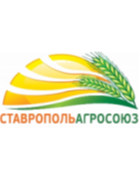 Nevinnomyssk logo