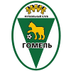 Gomel U19 logo