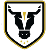 Bulls Academy Reserve (W) logo