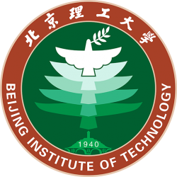 Beijing IT Reserves Logo