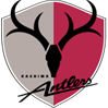 Kashima Antlers U19 logo