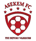 Logo Asekem