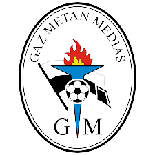 Gaz Metan Medias U19 logo