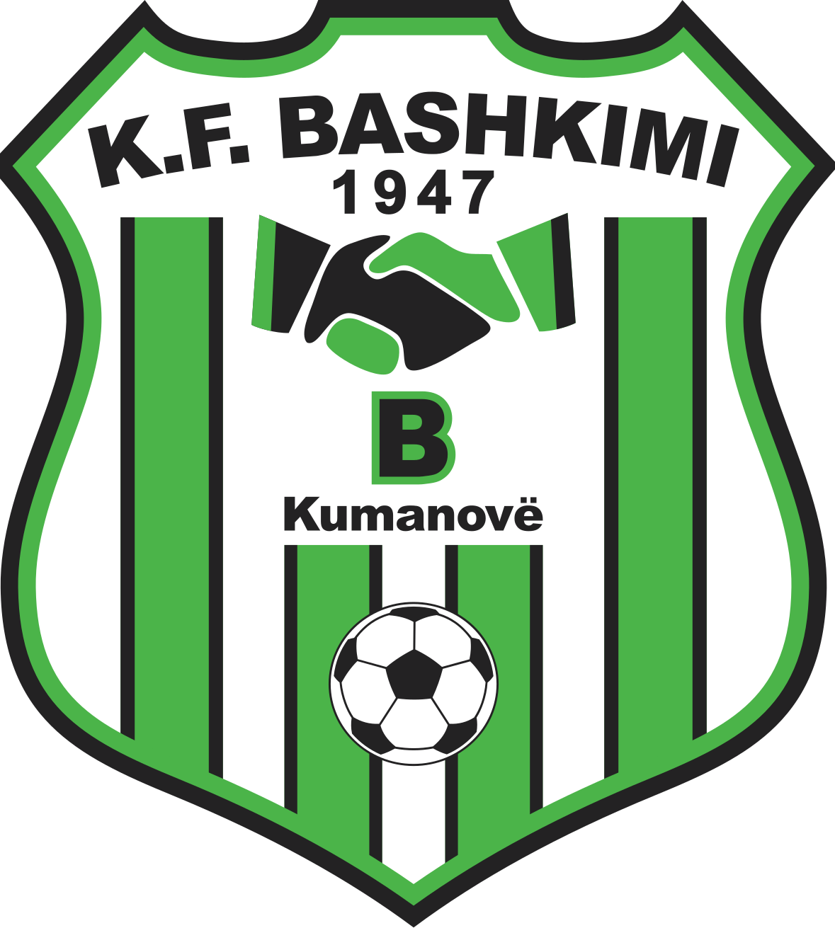 FK Baskimi logo