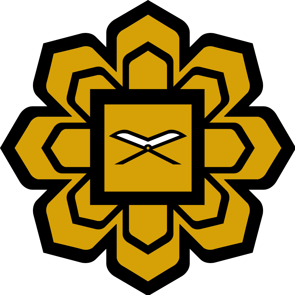 IIUM logo