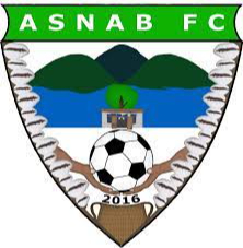 ASNAB logo