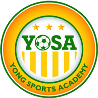 Yong Sports Academy logo