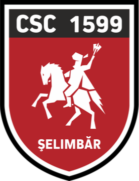 CSC 1599 塞林巴爾