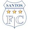 Santos de Nasca Reserves logo