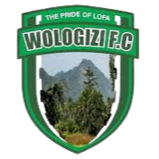 Wologizi