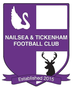 Nailsea Tickenham-team-logo