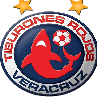 Veracruz (w) logo