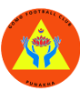 Gomo FC logo