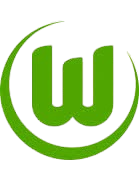 VfL Wolfsburg Youth logo