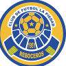 CF Reboceros La Piedad
