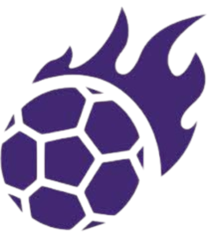 阿盖女足 - 图标