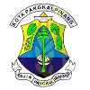 Persipas Pangkal Pinang logo