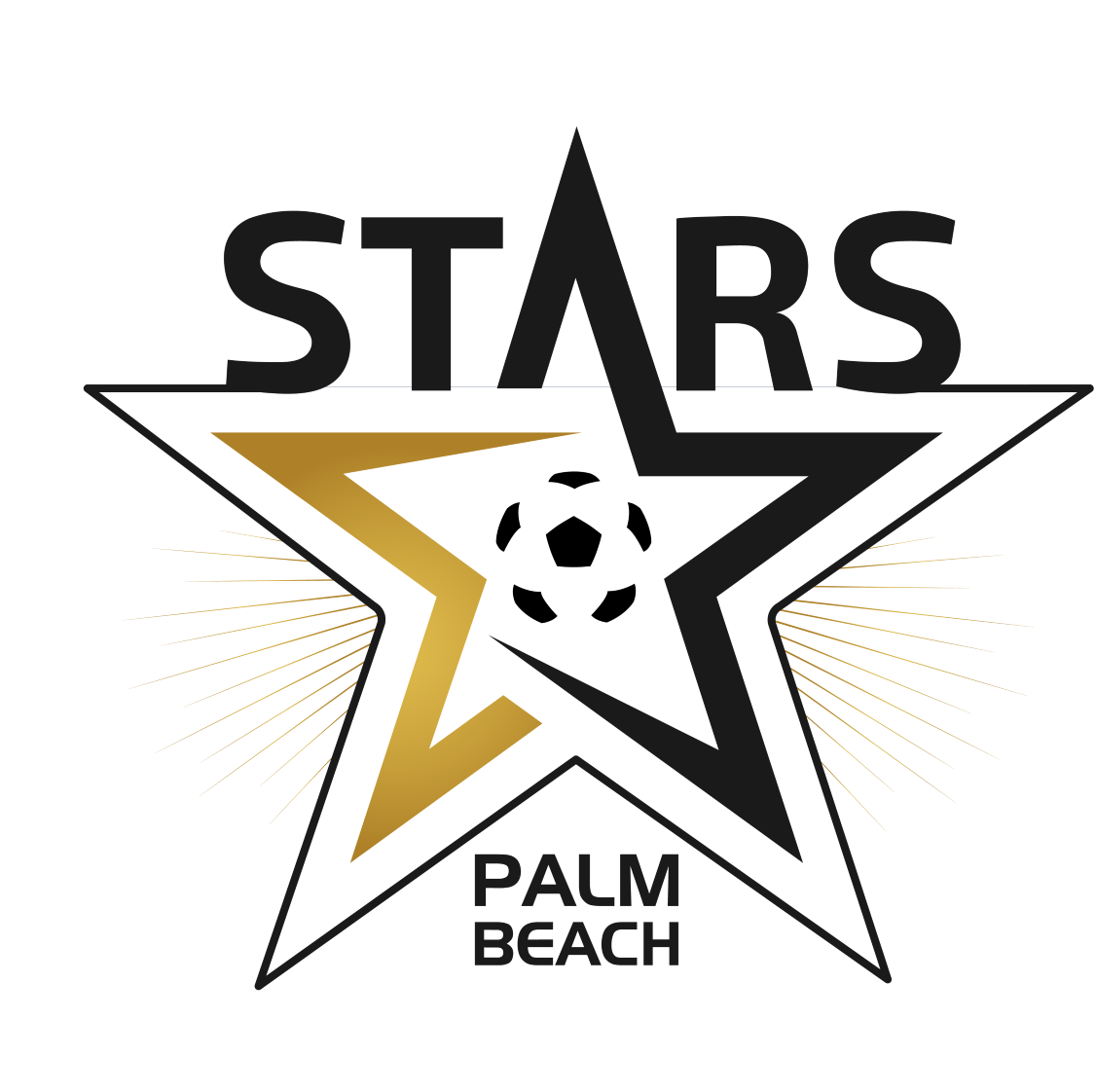 Palm Beach Stars logo