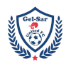 Gelsar FC logo