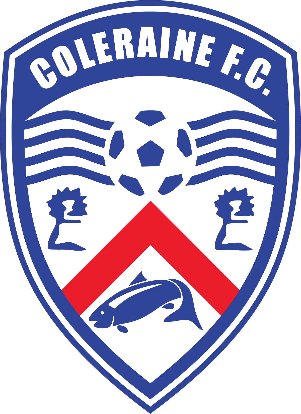 Coleraine U19 logo