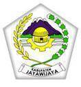 Persiwa Wamena logo