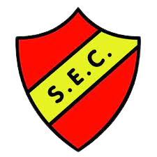 Santana AP Youth logo