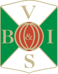 Varbergs BoIS (W)