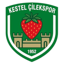 Kestel Çilekspor
