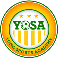 Logo Young Sports