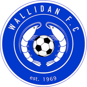 Wallidan logo