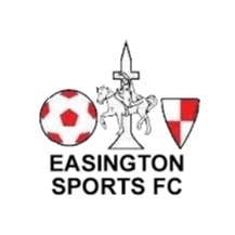 Easington Sports-team-logo
