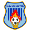 Sumsel United U19 logo