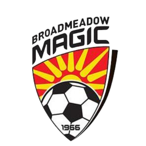 Broadmeadow Magic U22 logo