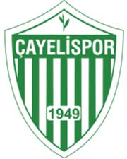 Logo Cayelispor