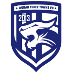 Wuhan Shanzhen (W) Logo
