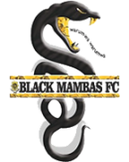 Black Mambas FC Logo