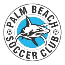 Palm Beach Sharks(w) logo