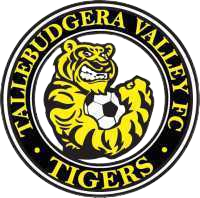 Tally Valley Metro logo