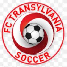 FC Transylvania logo