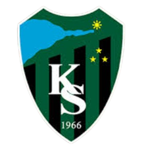 Kocaelispor U18 logo