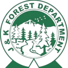 J K Forest XI logo