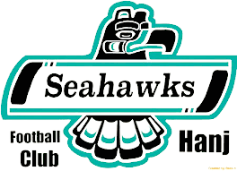 Sea Hawks FC Hanj logo