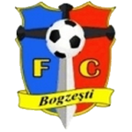 Bogzesti logo