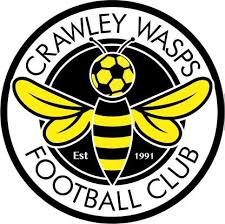 Crawley Wasps (w)