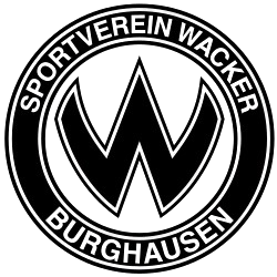 贝豪森U19 - 图标