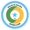 https://img.thesports.com/football/team/a2c2f84353eda4bc5242d3fa89134ccb.png